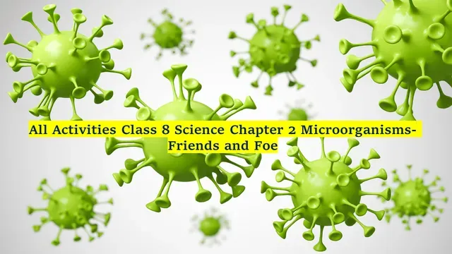 All Activities Class 8 Science Chapter 2