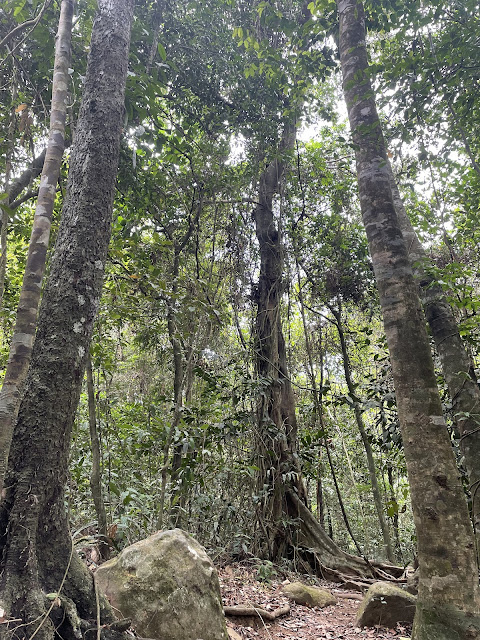 Mt. Pico de Loro Hike, April 2024