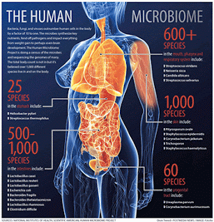<Img src ="microbiome_preview_350px.Gif" width = "350" height "364" border = "0" alt = "The NIH Human Microbiome Project.">