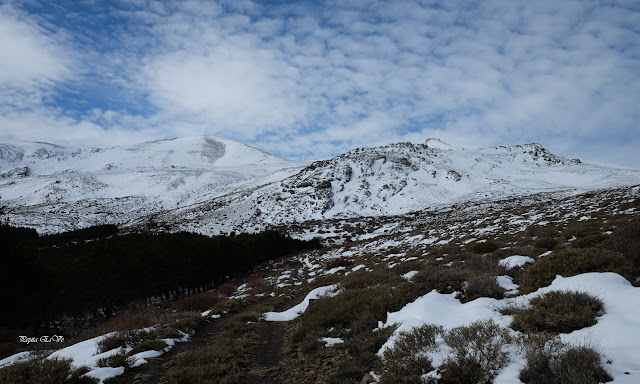 Jérez del Marquesado - Sierra Nevada - Picón - Piedras de Vicente