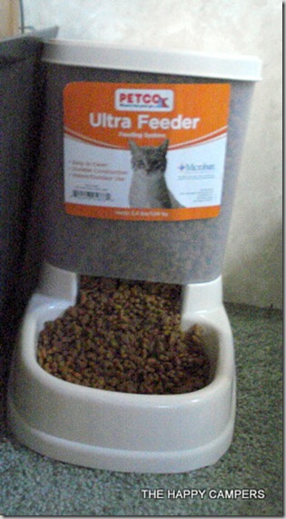 cat stuff 008
