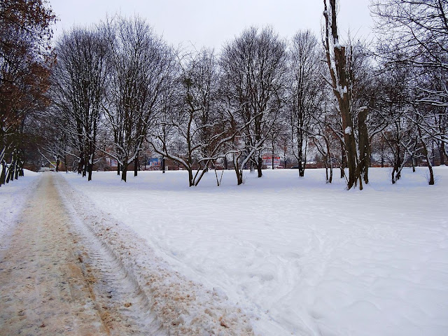 Zima w parku Skaryszewskim