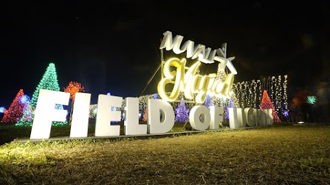 Nuvali celebrates Christmas with its first lights and sounds show and many more!