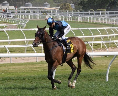 tristarc stakes_tycoon tara 2