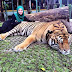 Artis Hijaber Malaysia Bikin Heboh