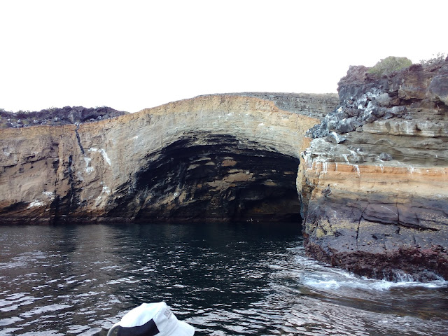 Punta Vicente Roca, Isla Isabela, Islas Galápagos