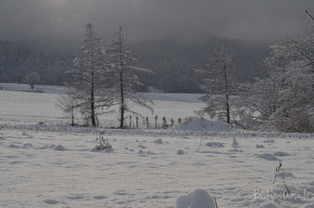 2013-11-28 Snow 003