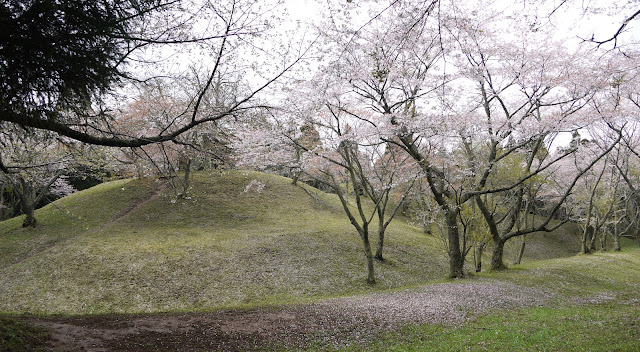 姫塚｜千葉県山武の古墳