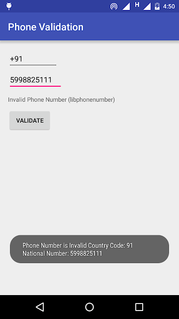 Validate Phone Number Sample Program Screenshot