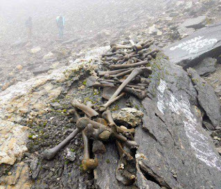 Human Sculpture at Roopkund Lake