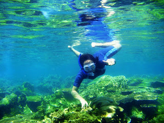 snorkeling di pulau harapan