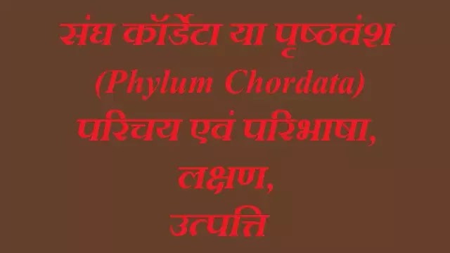 संघ कॉर्डेटा (Chordata) : परिचय एवं परिभाषा, लक्षण, उत्पत्ति|hindi