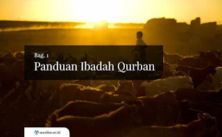 Panduan Ibadah Qurban (bagian 1)