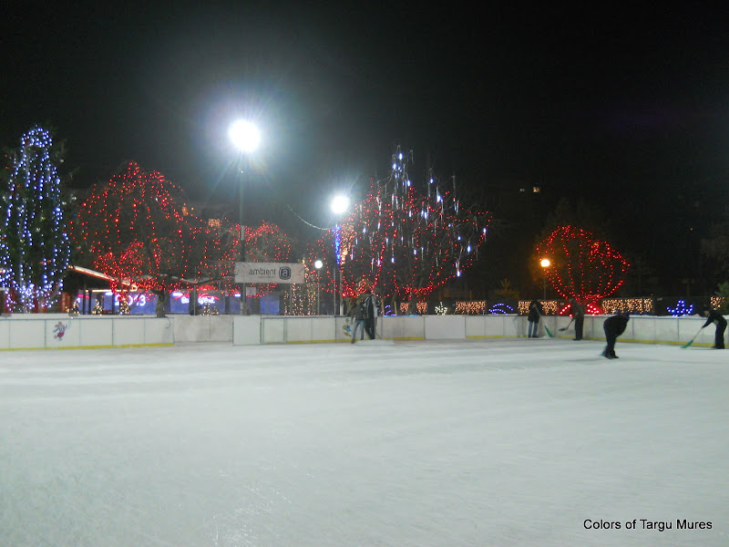 Patinoar Tg Mures