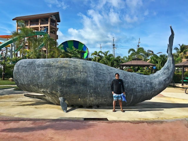 Seven Seas Attraction - Moby Dick Whale