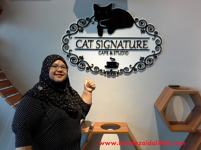Cat S Lover Harus Datang Ke Cat Signature Cafe Studio