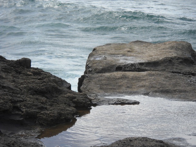 DSCN3378