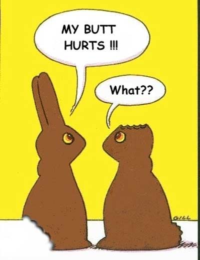 funny quotes happy bunny. funny quotes happy bunny. pics