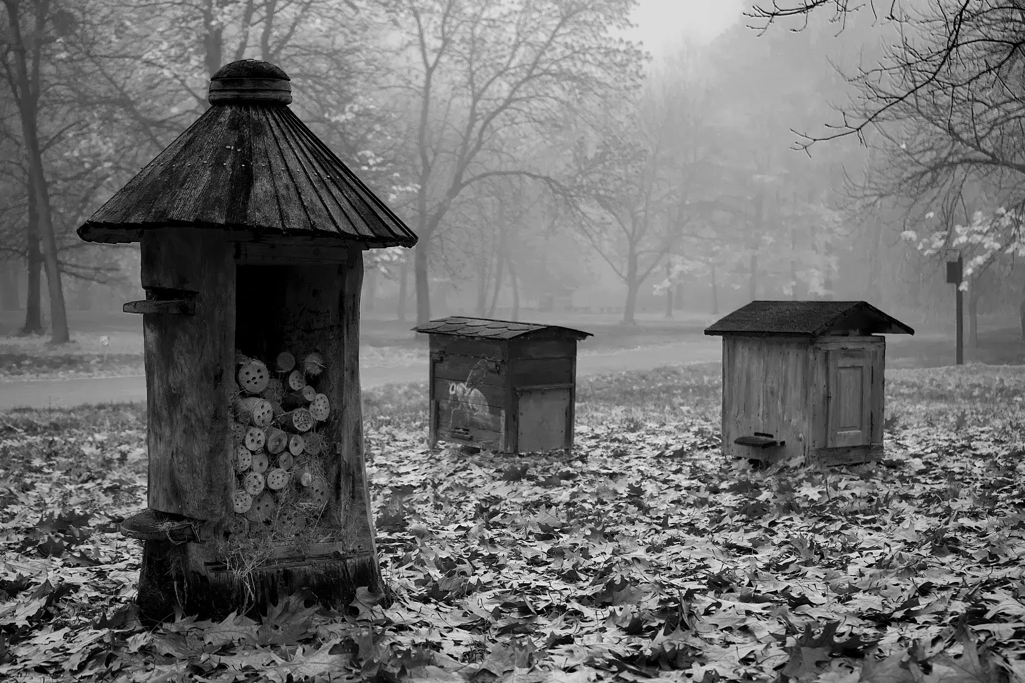 Muzeum "Górnośląski Park Etnograficzny" (Chorzów)