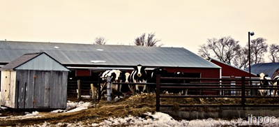 IMG_3749 copy 2