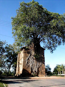 Nesta capelinha de Barra do Guaicu, MG, o bioma parece ter progredido.