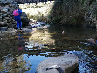 “CUIDAR EL AGUA ES CUIDARTE”