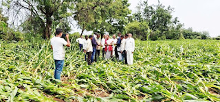 समय पर पात्र हितग्राहियों को राहत राशि प्रदाय हो-जिला कलेक्टर