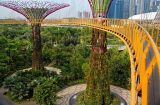 حدائق الخليج في سنغافورة Gardens by the Bay