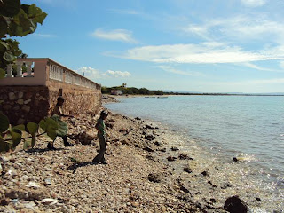 Retiran de Playas de Pedernales, cantidades de desechos sólidos y contaminantes.