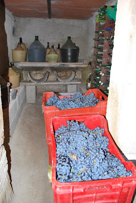 wine making storage temperature
