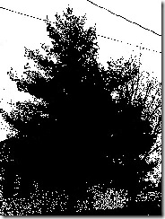 monochromepine