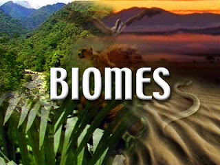 biome