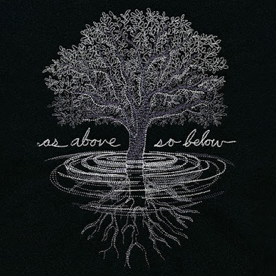 Cosmic Connection Celestial Bodies, Human Anatomy, and Plant Life: As Above so Below
