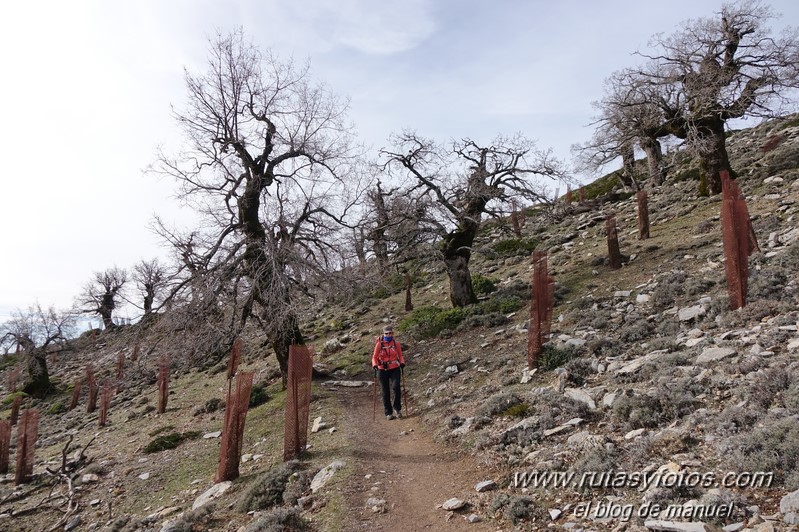 Cañada del Cuerno - Torrecilla - Cañada de las Ánimas