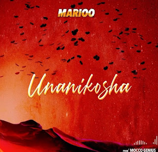 AUDIO | Marioo – Unanikosha | Download