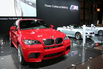 BMW X6 2010