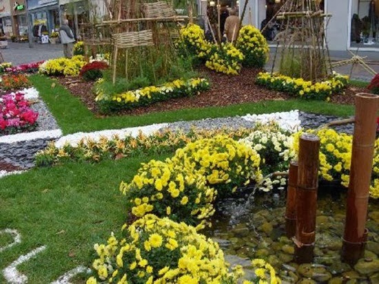 http://www.funmag.org/pictures-mag/flowers/chrysanthemum-flowers-festival-in-germany/