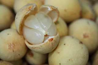 Gambar Buah Duku