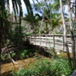View album