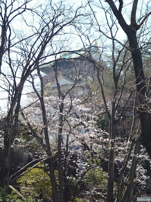 大阪城と桜