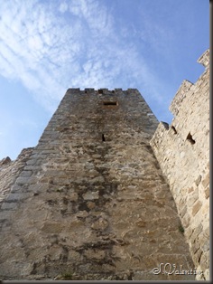 P1170944