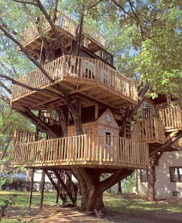 Amazing Wooden Tree House