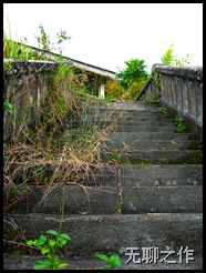 Picture 011