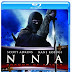 Ninja Shadow of a Tear 2013 Dual Audio Hindi 480p BRRip 300mb