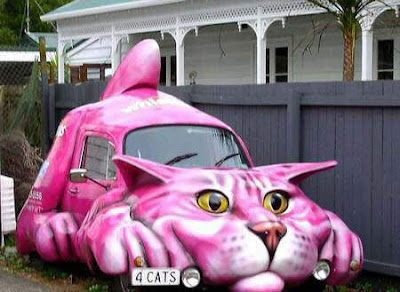 animal modificatin car