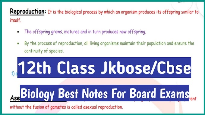 Class 12th: Biology Handwritten Notes Pdf Available 