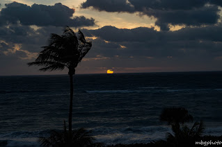 ocean sunset - Florida