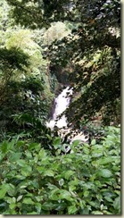 IMG_20180130_Annandale Falls 1