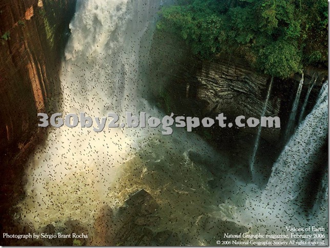 nature5