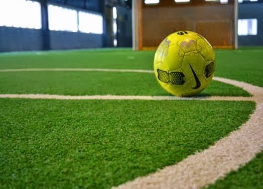 Harga Rumput Sintetis Buat Futsal